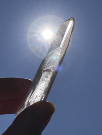 Peach Lemurian 8