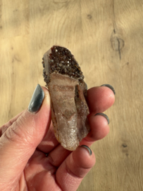 Lemurian (Red Coated) Dreamtime Healers 3