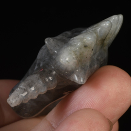 Labradoriet eenhoorn (ongeveer 5 cm)