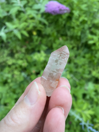 Pink Lemurian / Roze Lemurische Laser 9