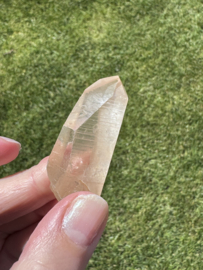 Golden Healer Lemurian 6