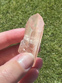 Peach Lemurian 12 - met key