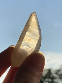 Tangerine Lemurian 19