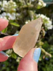 Golden Healer Lemurian (geslepen basis) 15