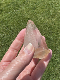 Golden Healer Lemurian 1