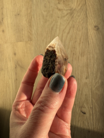 Lemurian (Red Coated) Dreamtime Healers 8