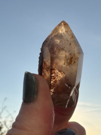 Lemurian (Red Coated) Dreamtime Healers 11