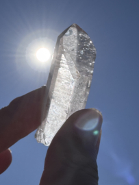 Peach Lemurian 7