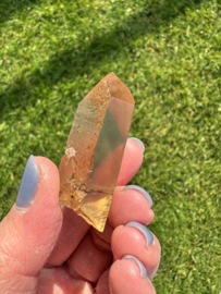 Citrien Lemurian 6