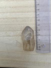 Citrien Lemurian 11