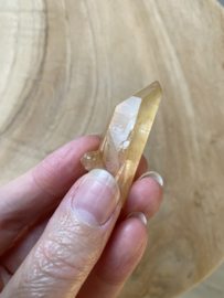 Tangerine Lemurian 31