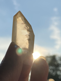 Tangerine Lemurian 32