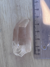 Peach Lemurian 14