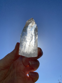 Lemurian Staand 2