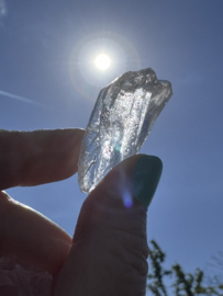 Medium Lemurian Root / Code Keeper of Freedom 3-5 cm