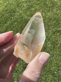 Golden Healer Lemurian 2
