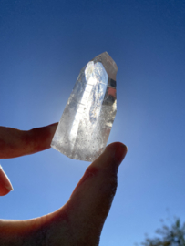 Lemurian Staand 2