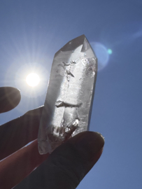 Peach Lemurian 5