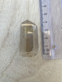 Citrien Lemurian 11