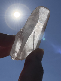 Peach Lemurian 3