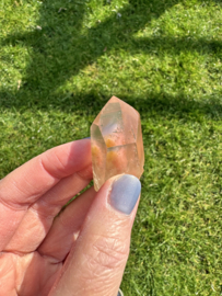 Citrien Lemurian 14