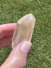 Peach Lemurian 14