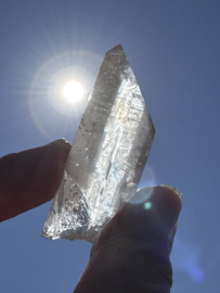 Peach Lemurian 7