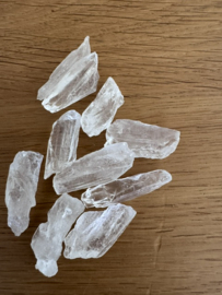Medium Lemurian Root / Code Keeper of Freedom 3-5 cm