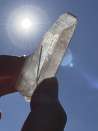 Peach Lemurian 3