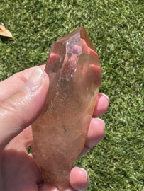 Smokey Peach Lemurian 21