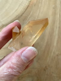 Tangerine Lemurian 5