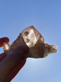 Pink Lemurian - cluster 2