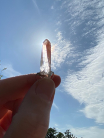 Pink Lemurian Hangertje 7