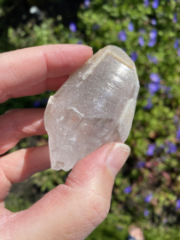 Sugar Blade Lemurian 4