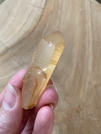 Tangerine Lemurian 6