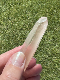 Peach Lemurian 13