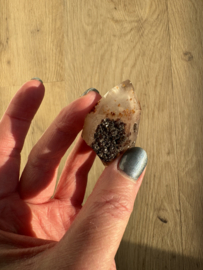 Lemurian (Red Coated) Dreamtime Healers 8
