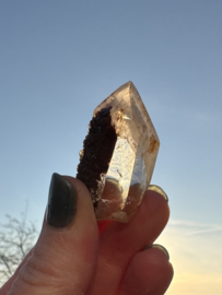 Lemurian (Red Coated) Dreamtime Healers 11