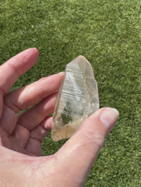 Golden Healer Lemurian 1
