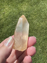 Golden Healer Lemurian 6