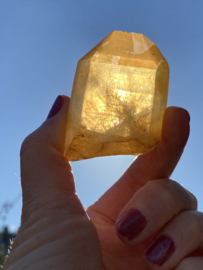 Tangerine Lemurian TL 3