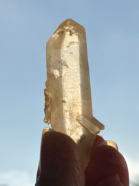 Tangerine Lemurian 15