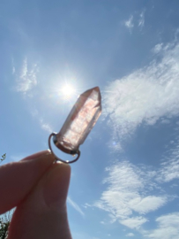 Pink Lemurian Hangertje 5