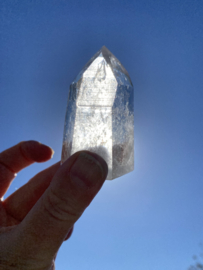 Lemurian Staand 2