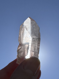 Peach Lemurian 12 - met key