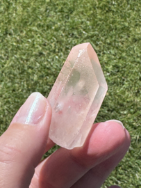 Peach Lemurian 17