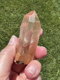 Peach Lemurian 1