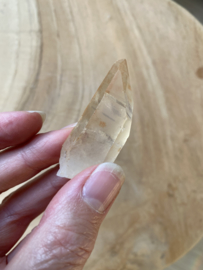 Tangerine Lemurian 19