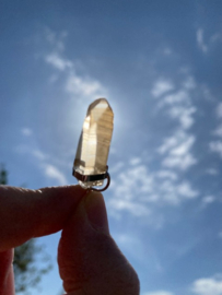 Tangerine Lemurian Hanger 6