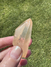 Golden Healer Lemurian 6